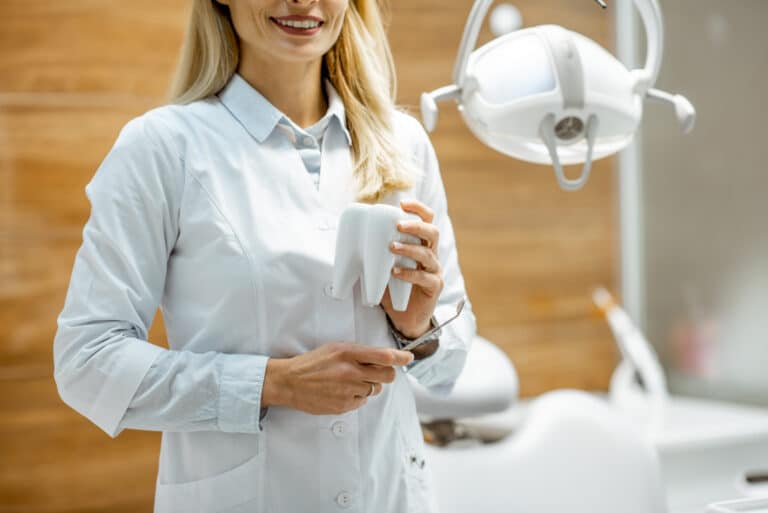 Portrait of a confident dentist with tooth model at the dental office. Cropped image, focused on hands